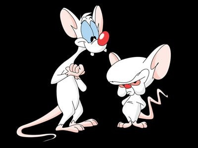 High Resolution Wallpaper | Pinky And The Brain 400x299 px