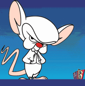 HD Quality Wallpaper | Collection: Cartoon, 327x330 Pinky And The Brain