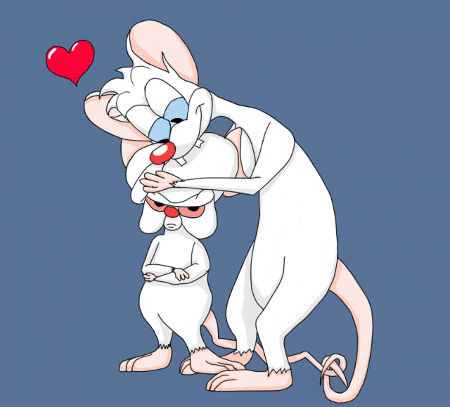 Pinky And The Brain Backgrounds, Compatible - PC, Mobile, Gadgets| 640x579 px