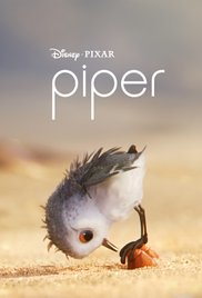 Piper #11