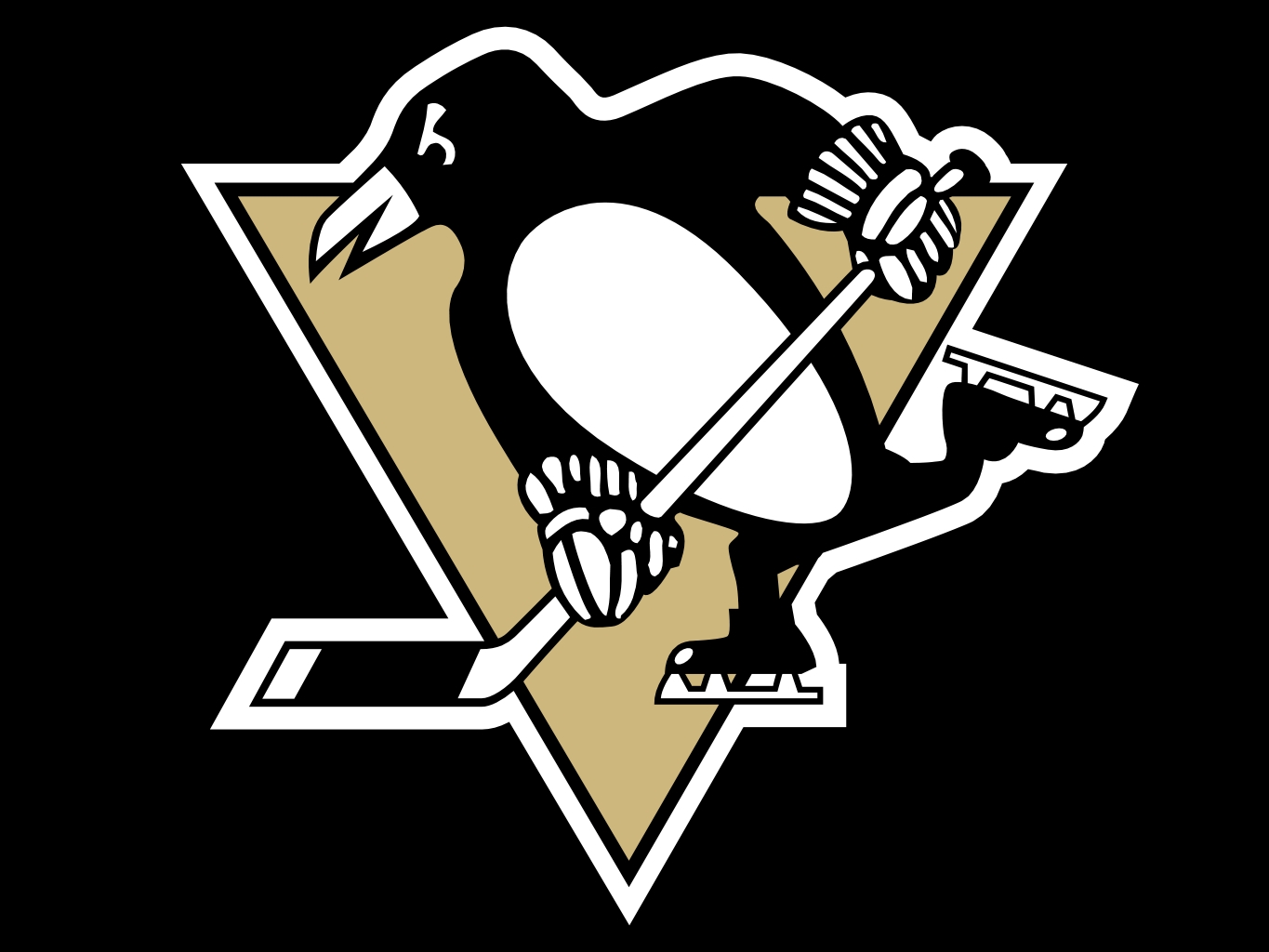 Nice wallpapers Pittsburgh Penguins 1365x1024px