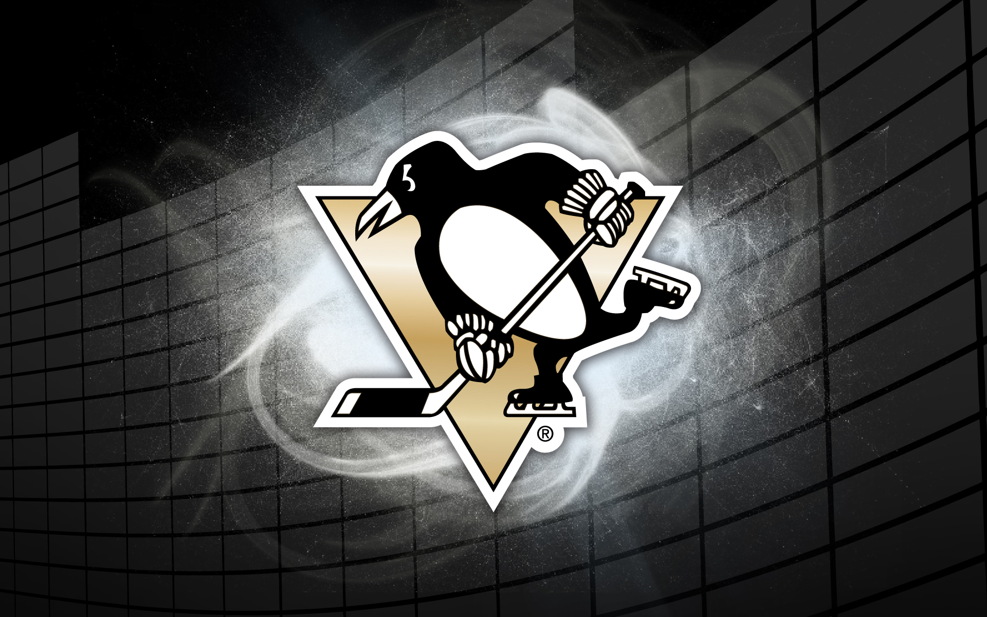 Pittsburgh Penguins #3