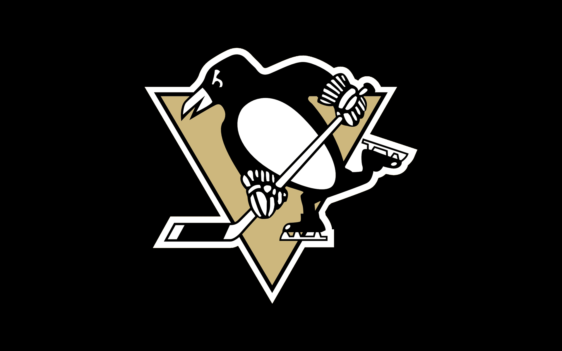 Pittsburgh Penguins #1