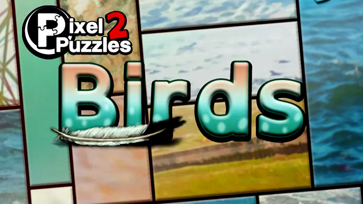 Pixel Puzzles 2: Birds #3