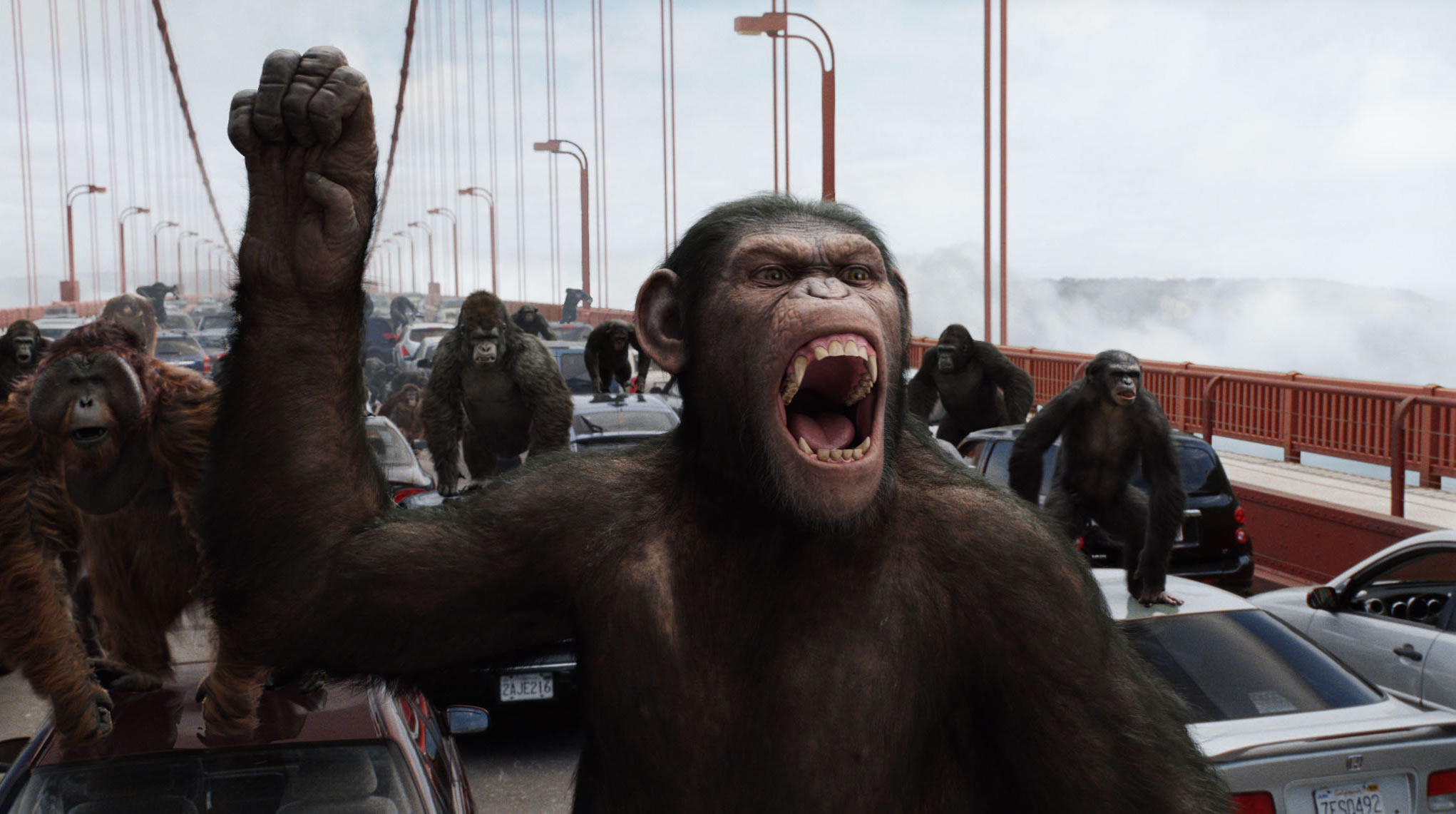 Nice Images Collection: Planet Of The Apes Desktop Wallpapers