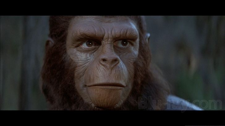 Planet Of The Apes #16