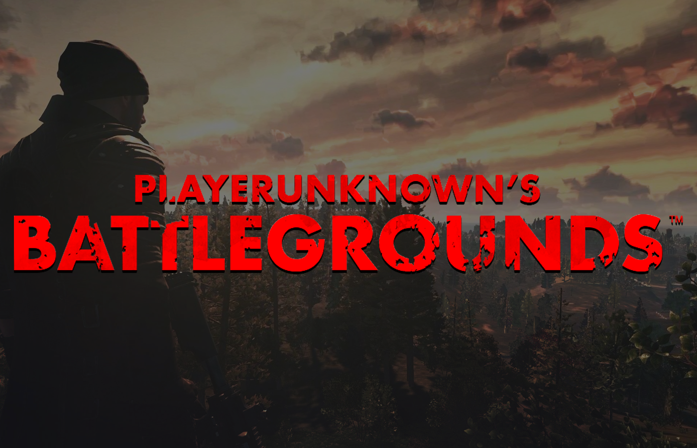 Playerunknown's Battlegrounds #19