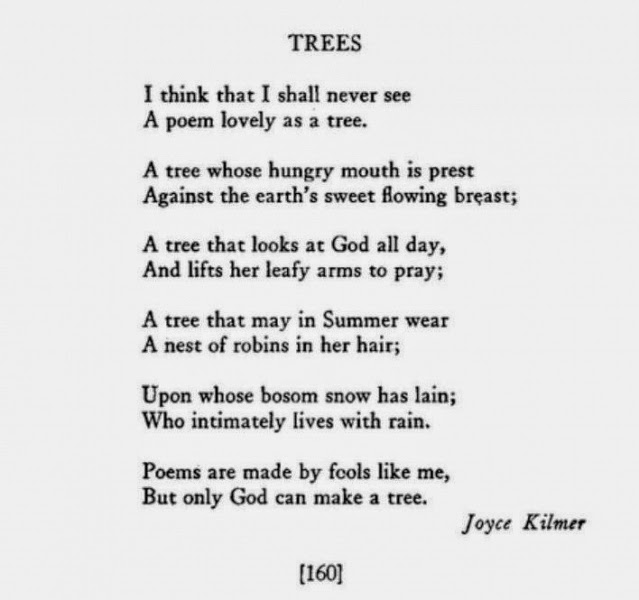 Poem #14
