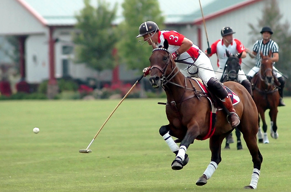 Nice Images Collection: Polo Desktop Wallpapers