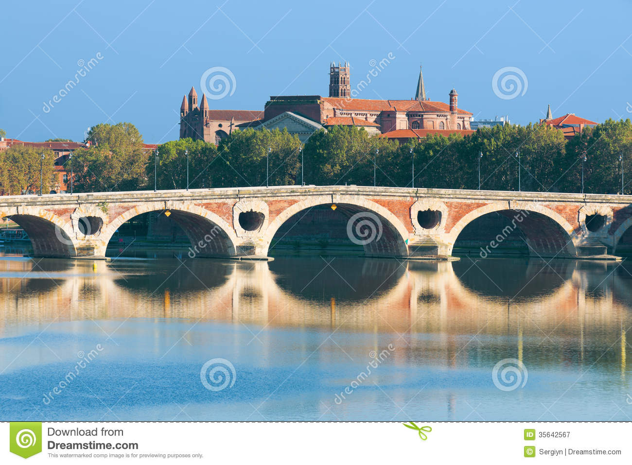 Pont Neuf, Toulouse #3