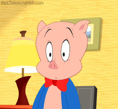 388x360 > Porky Pig Wallpapers