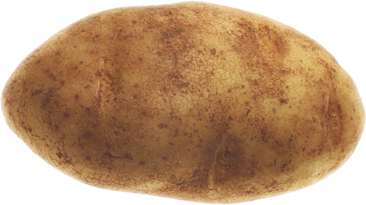 Potato High Quality Background on Wallpapers Vista