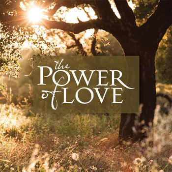 Images of Power Of Love | 350x350