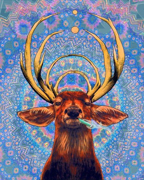 HD Quality Wallpaper | Collection: Artistic, 500x625 Psychedelic