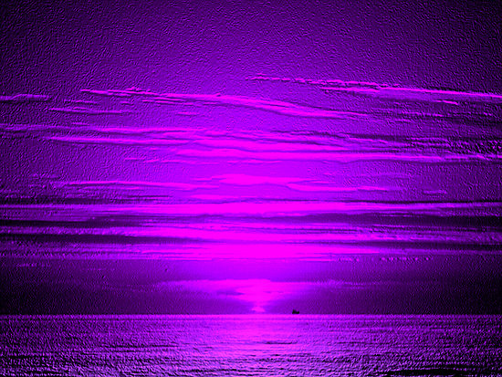 Purple Pink #18