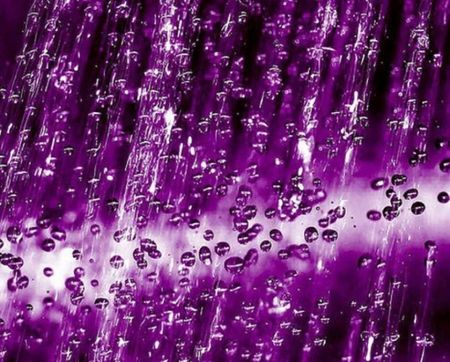 Nice wallpapers Purple Rain 450x362px