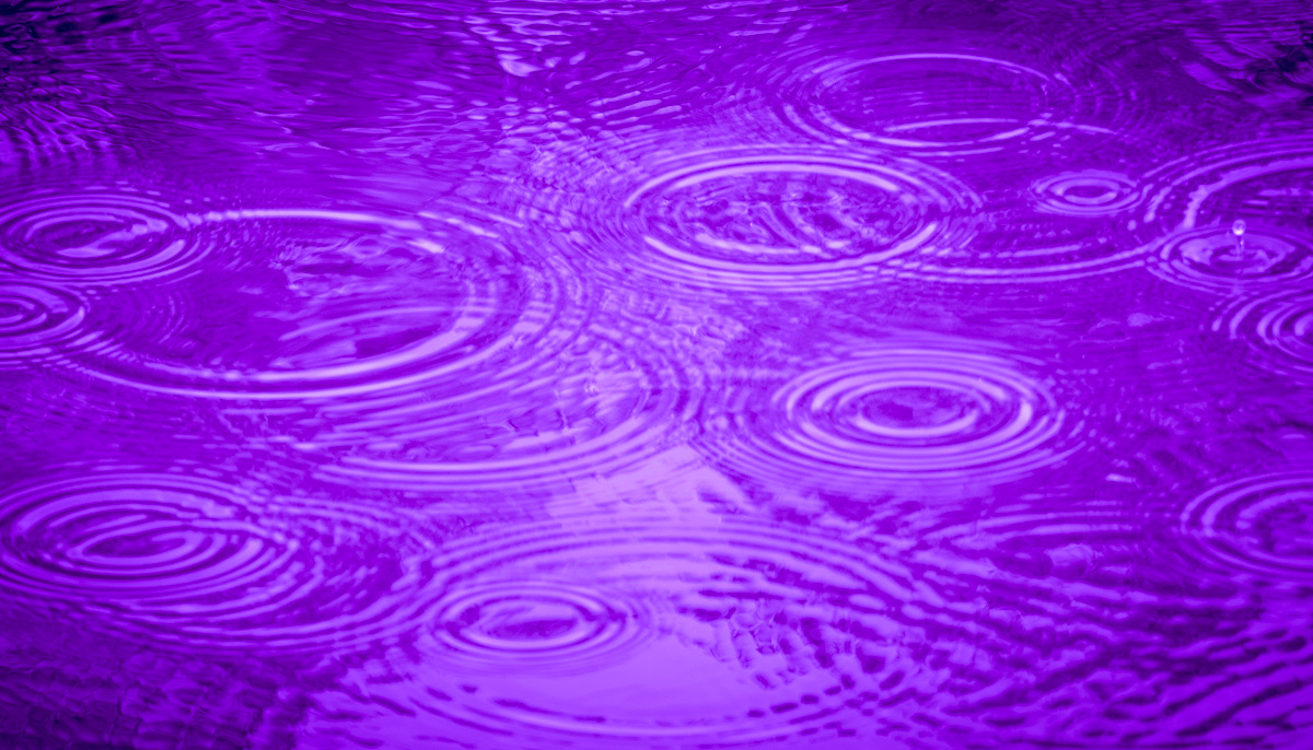 Purple Rain #23