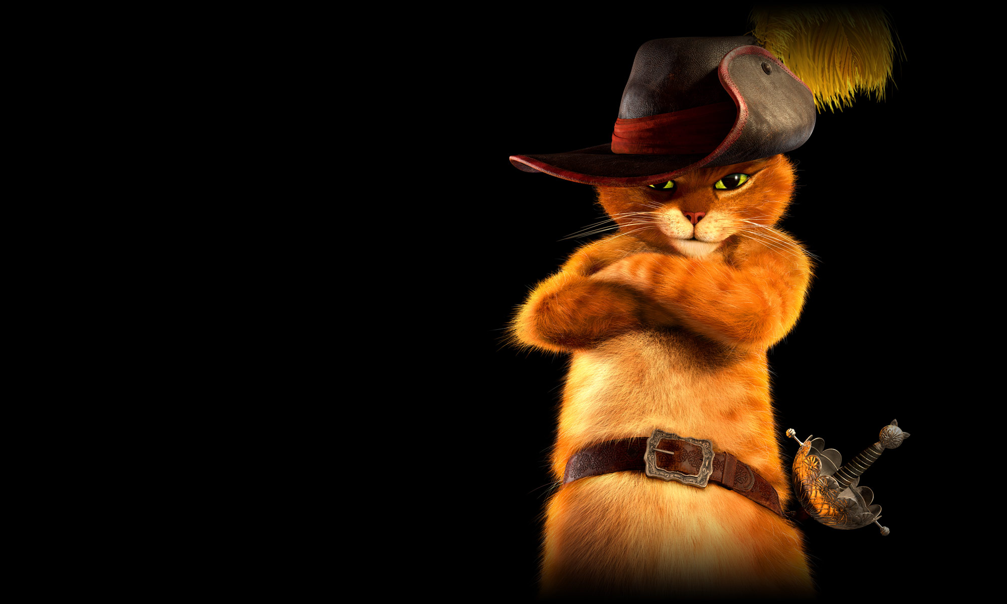 Puss In Boots Backgrounds, Compatible - PC, Mobile, Gadgets| 2000x1200 px