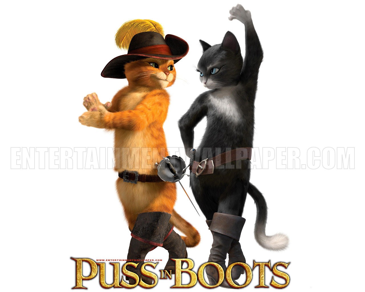 Amazing Puss In Boots Pictures & Backgrounds