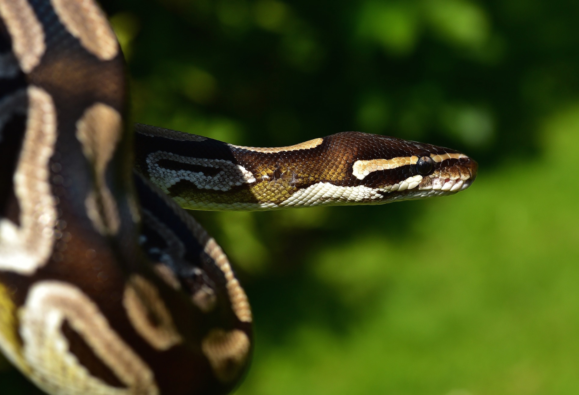 Python #6