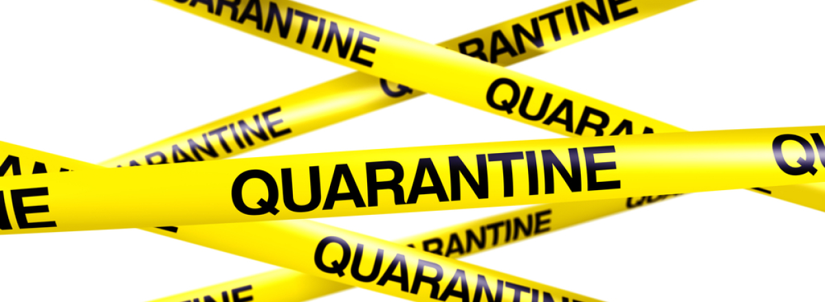 Quarantine #20