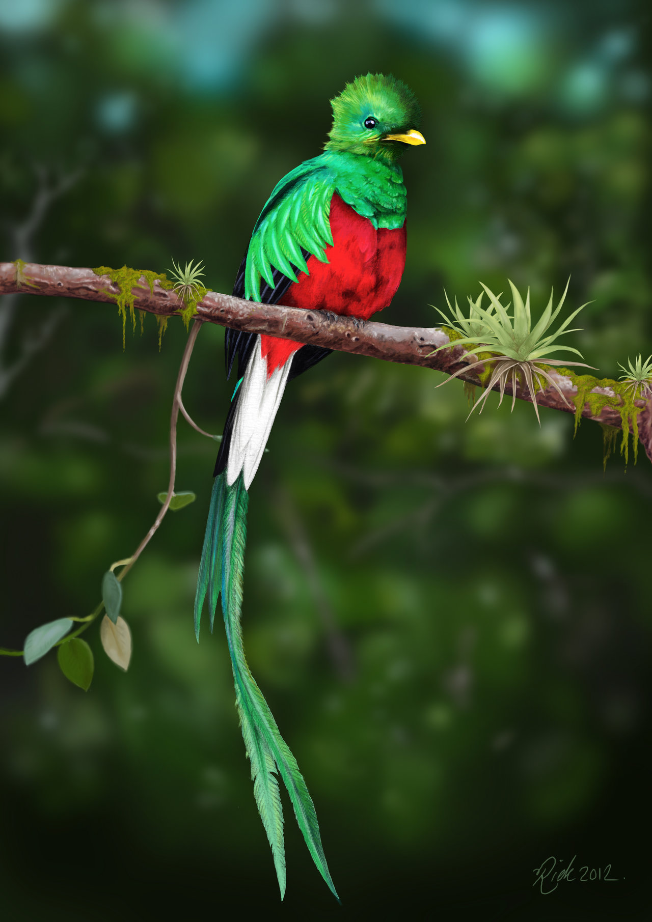 HD Quality Wallpaper | Collection: Animal, 1280x1811 Quetzal 
