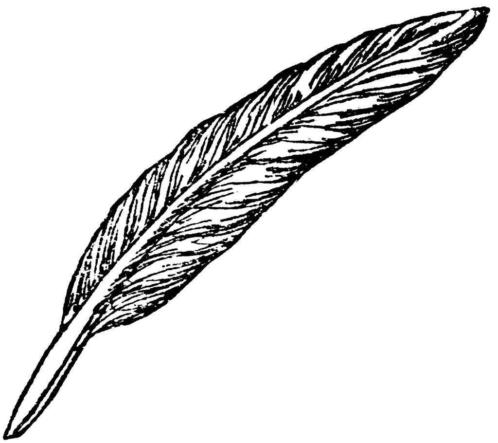 Quill High Quality Background on Wallpapers Vista