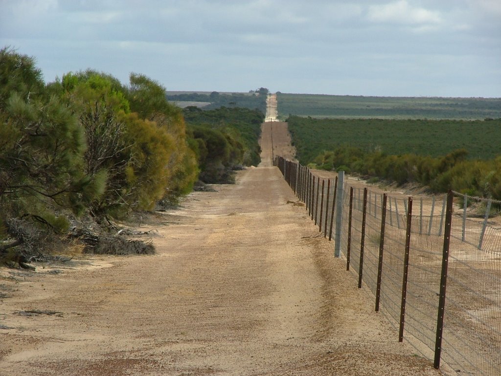 Nice wallpapers Rabbit Proof Fence 1024x768px