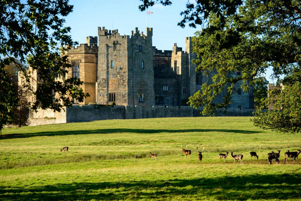 Raby Castle #28