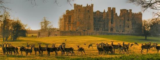 550x208 > Raby Castle Wallpapers