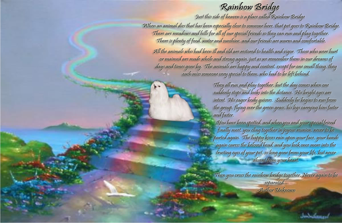 Rainbow Bridge #4