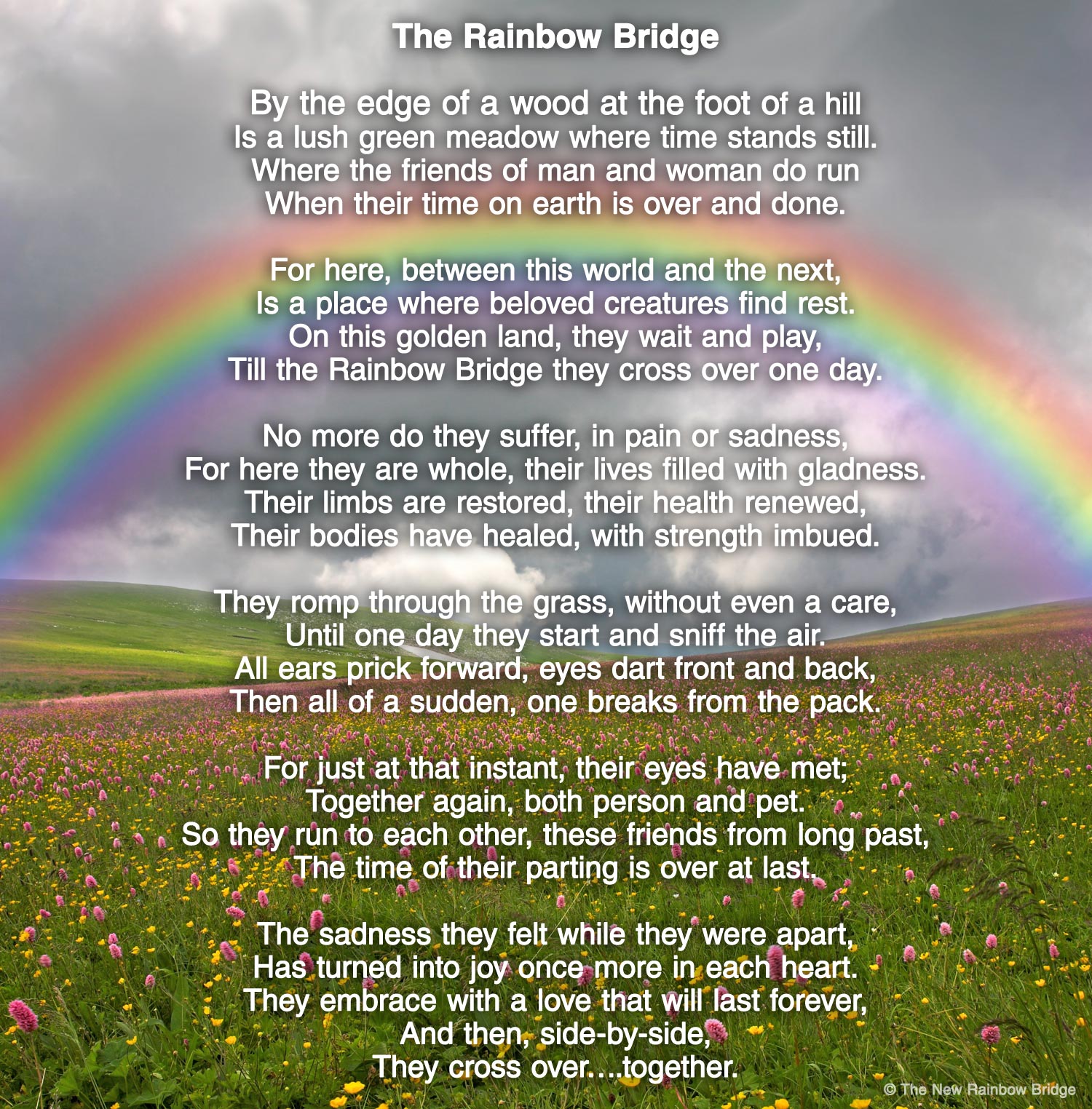 Rainbow Bridge #6