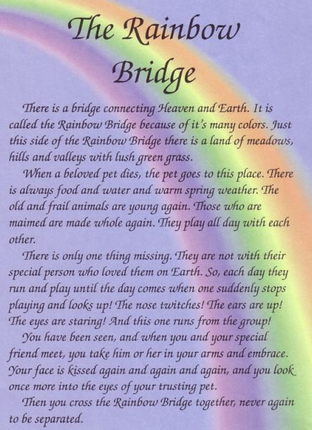 Rainbow Bridge #13