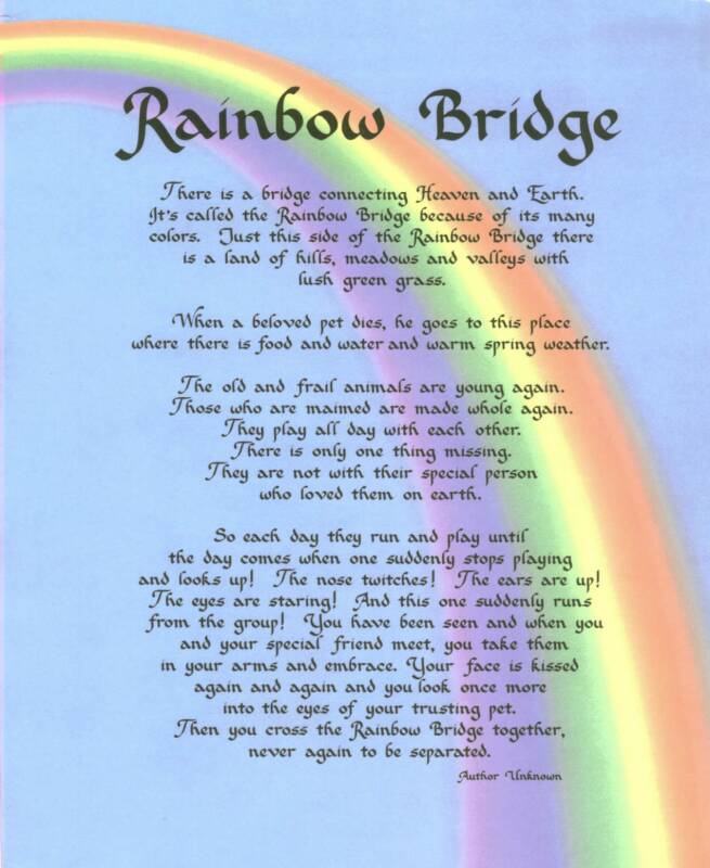 Rainbow Bridge #19