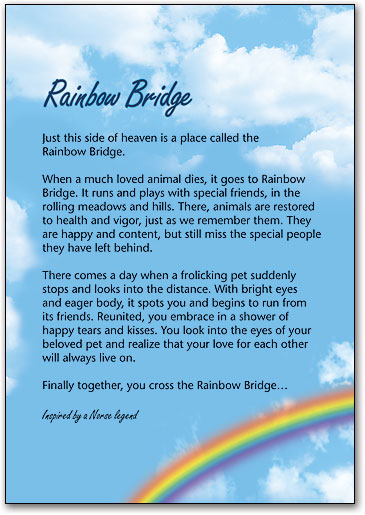 Rainbow Bridge #22