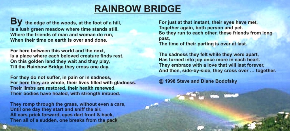 Rainbow Bridge #24