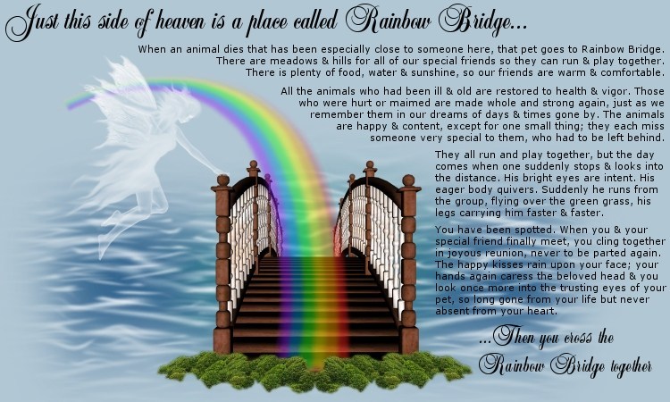 HQ Rainbow Bridge Wallpapers | File 110.95Kb