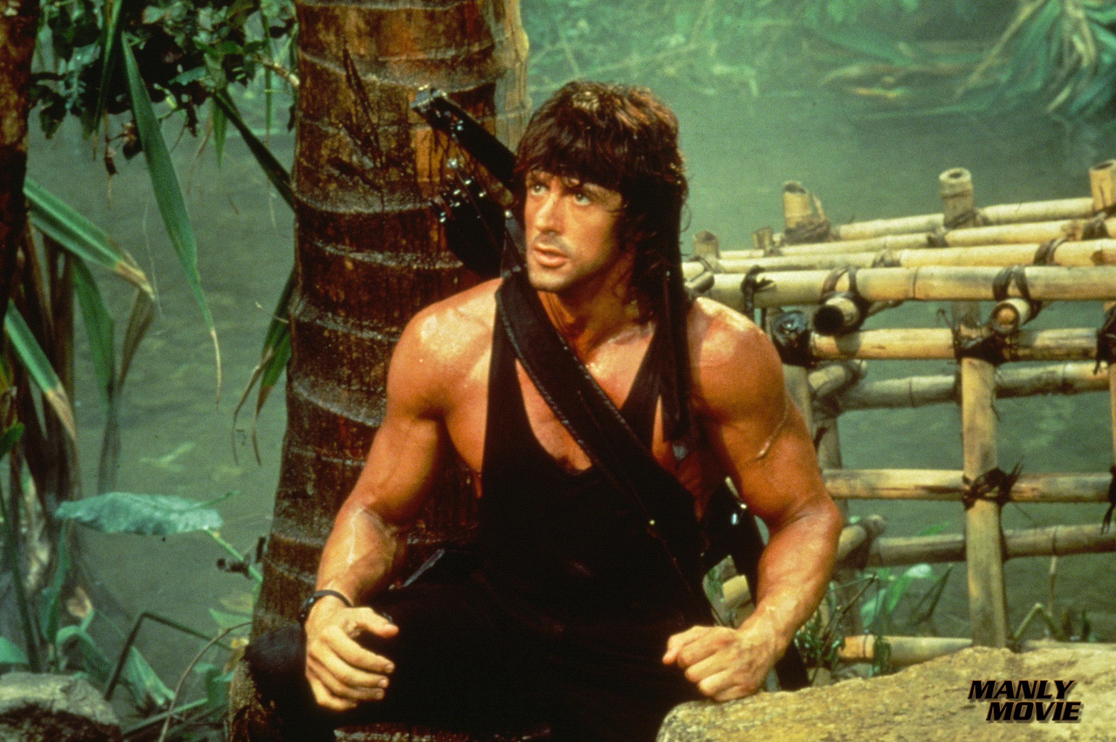 Images of Rambo: First Blood Part II | 3543x2358