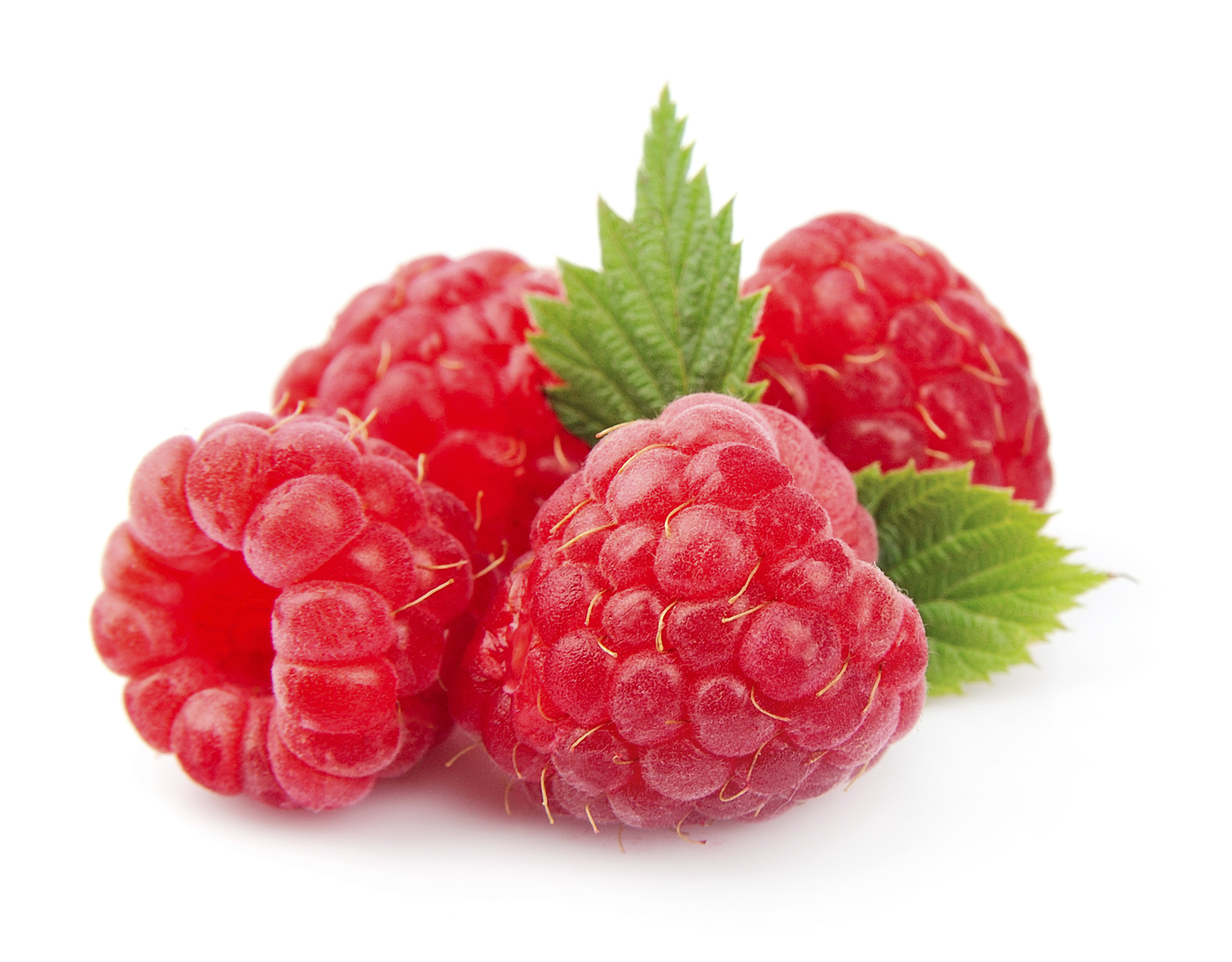 Nice Images Collection: Raspberry Desktop Wallpapers