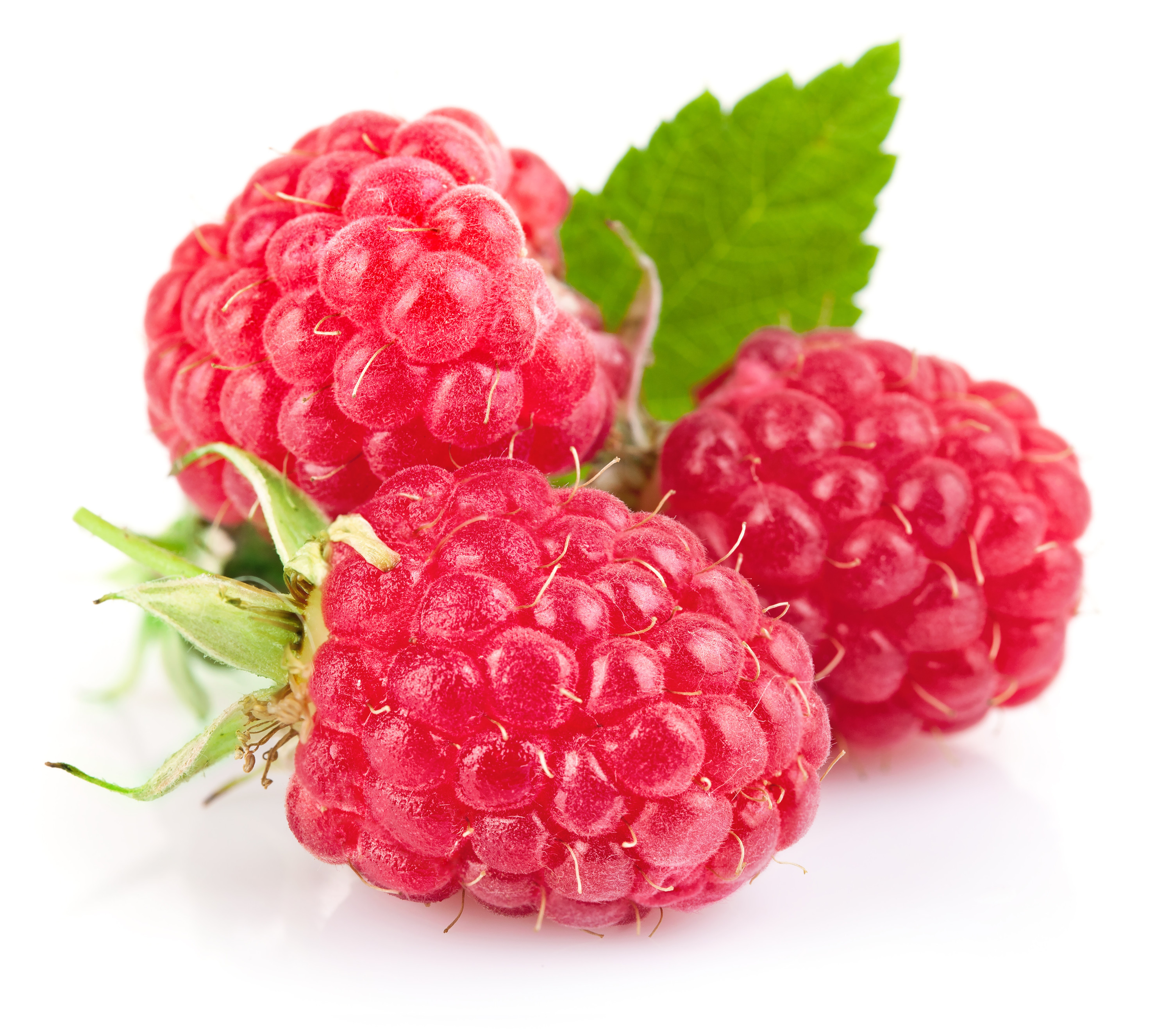 Raspberry Pics, Food Collection