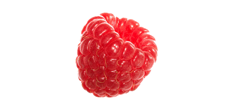 Raspberry Backgrounds, Compatible - PC, Mobile, Gadgets| 478x224 px