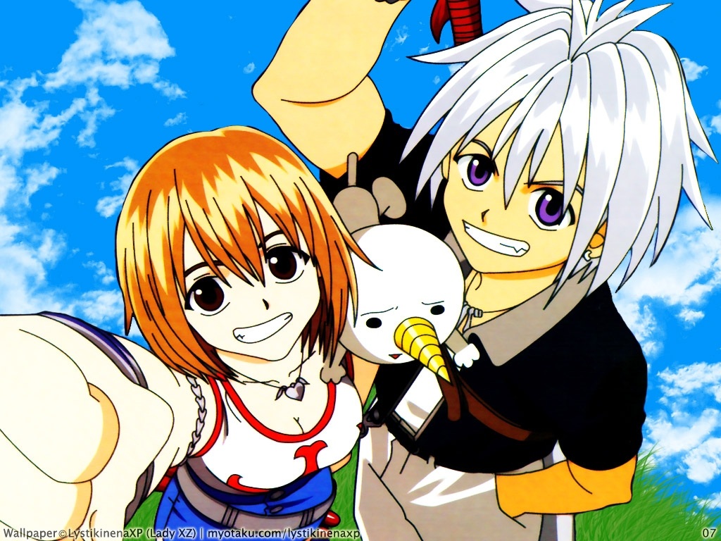 Nice wallpapers Rave Master 1024x768px