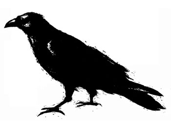 Raven #1