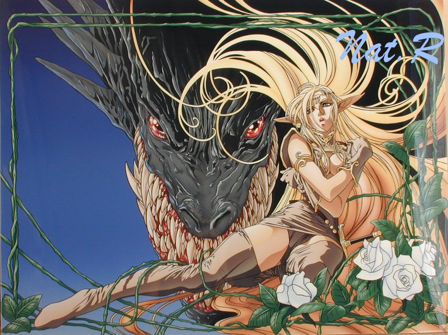 Record Of Lodoss War Backgrounds on Wallpapers Vista