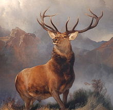 Images of Red Deer | 220x214