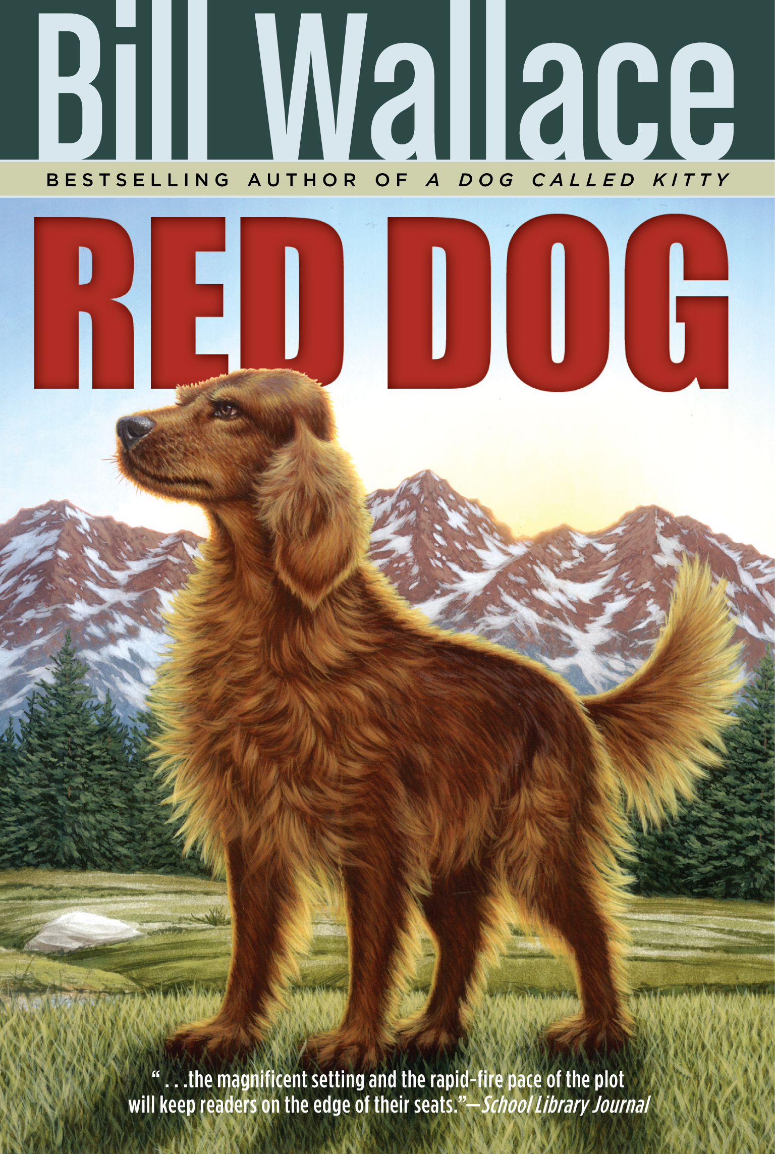 Red Dog Backgrounds, Compatible - PC, Mobile, Gadgets| 1536x2286 px