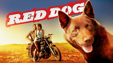 Red Dog Backgrounds, Compatible - PC, Mobile, Gadgets| 432x240 px