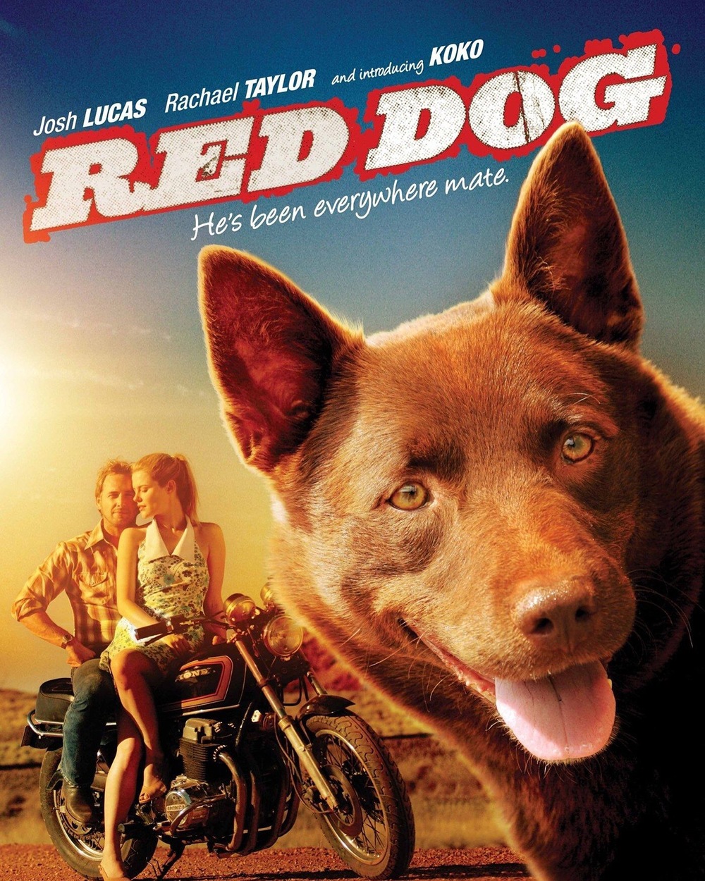 Red Dog #23