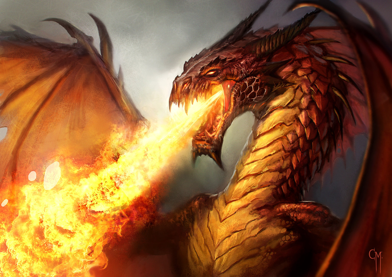 1600x1132 > Red Dragon Wallpapers