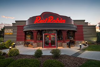 Amazing Red Robin Pictures & Backgrounds